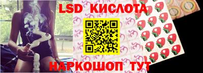 амф Моздок