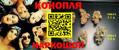 амф Моздок